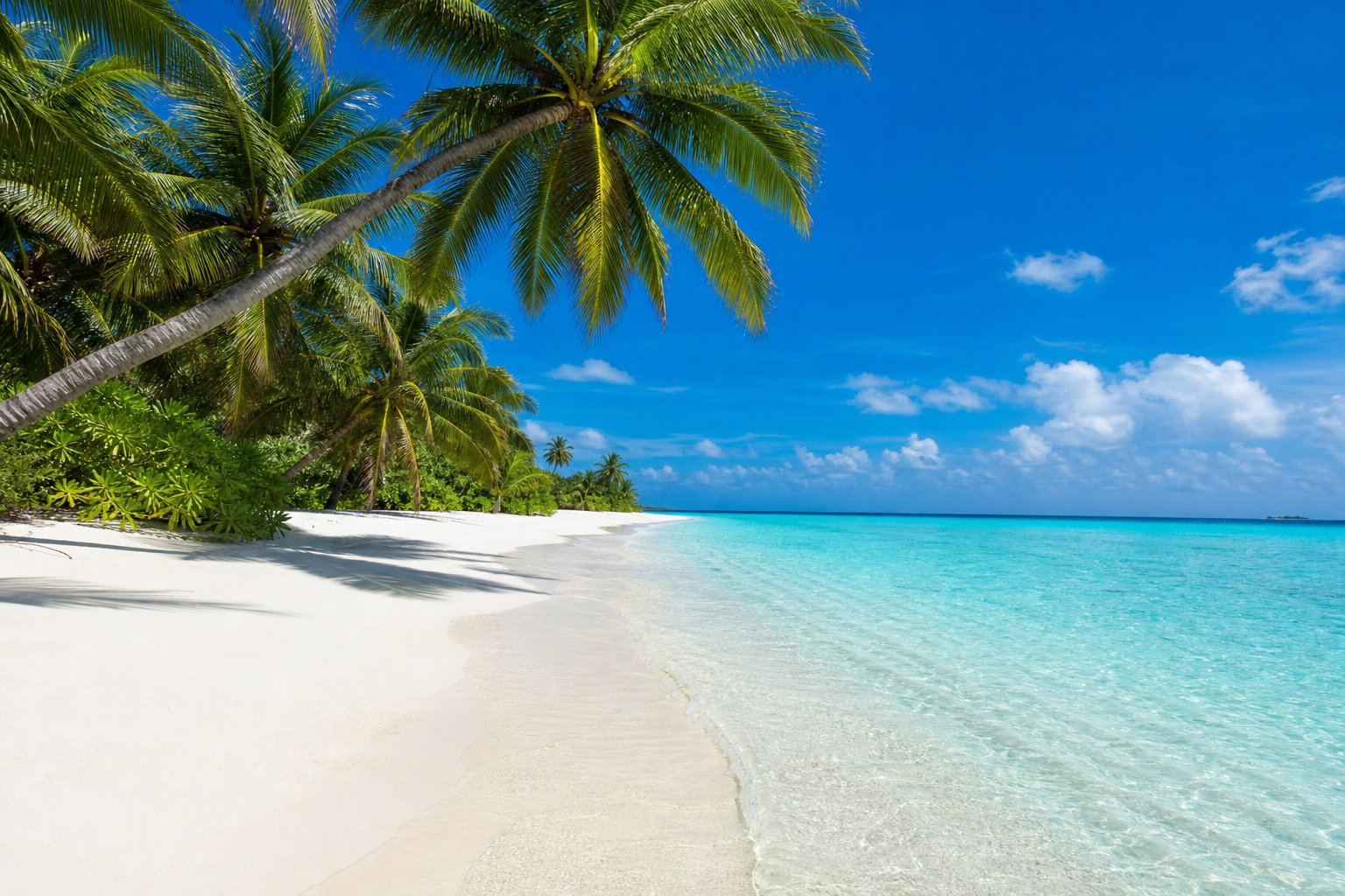 Paradise Island