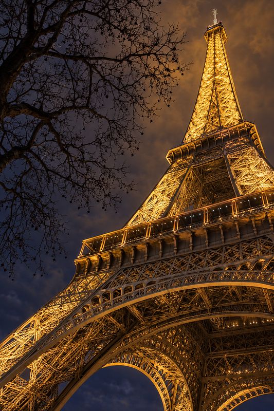 Paris: Golden Lace of the Night