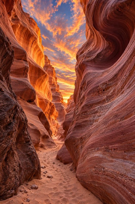 Canyon: The Frozen Music of Sunset